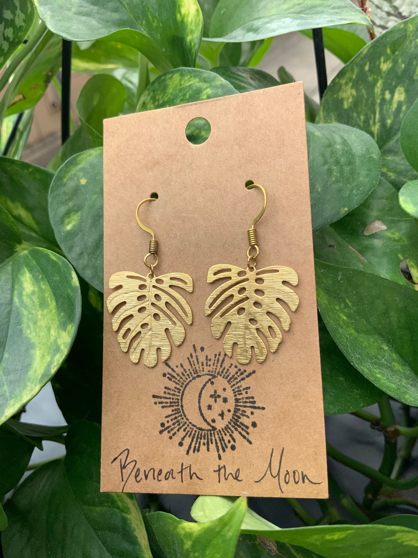 Monstera Leaf Earrings