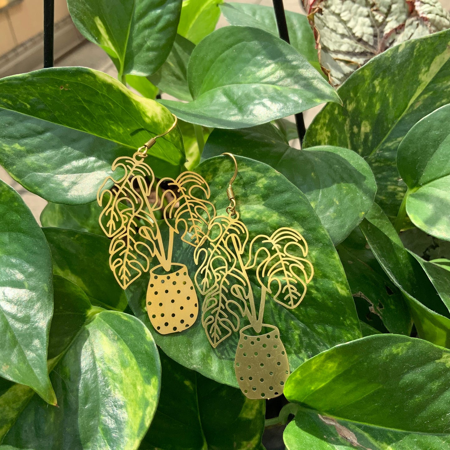 Potted Monstera Plant Earrings