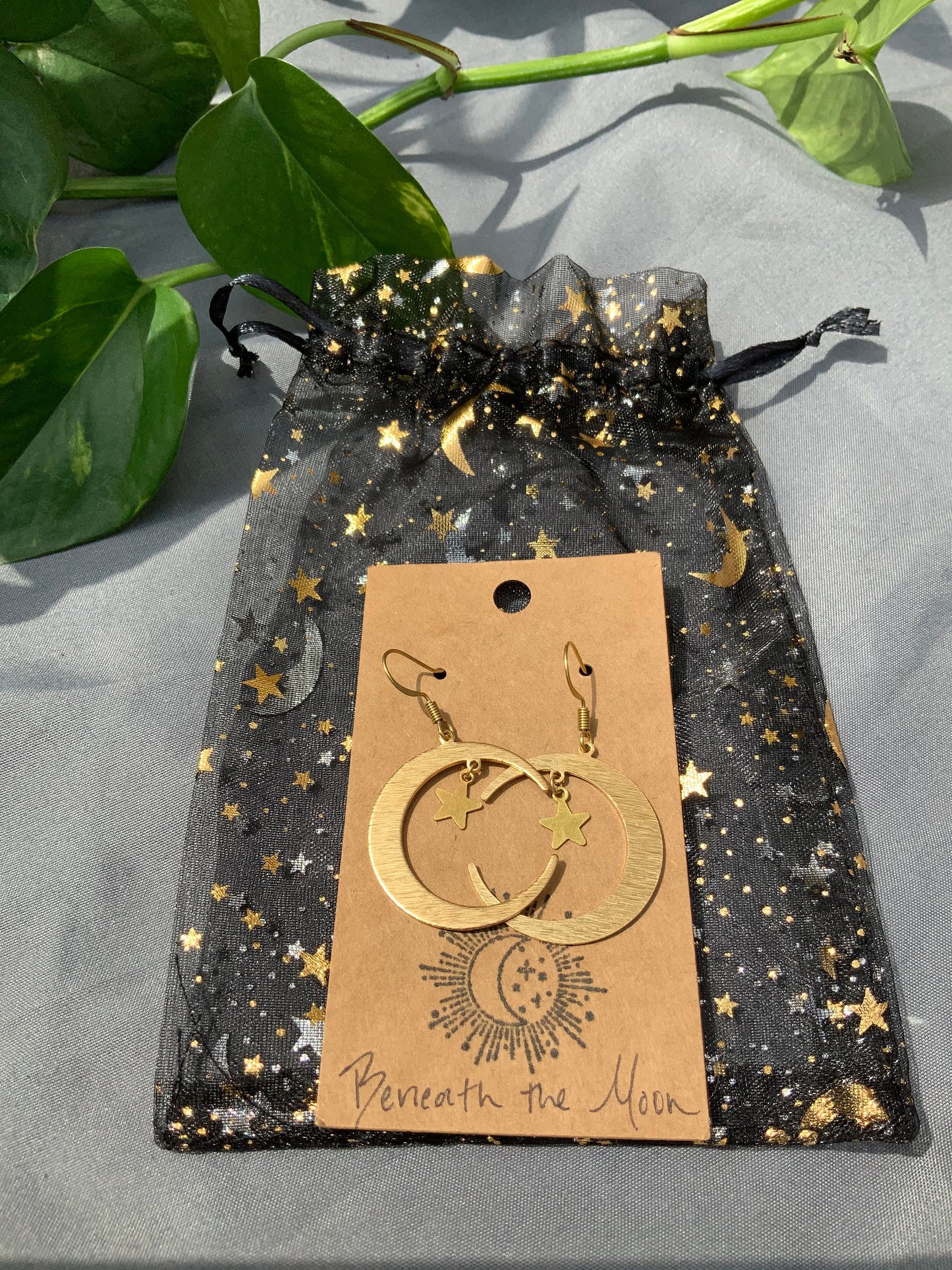 Crescent Moon and Star Earrings