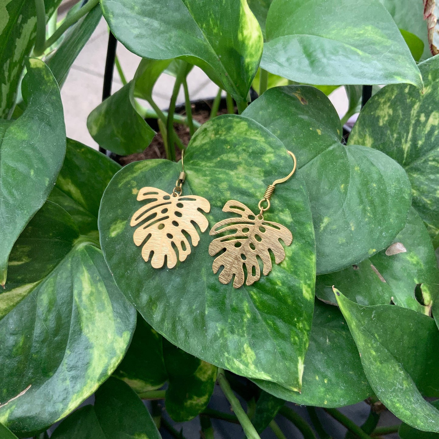 Monstera Leaf Earrings