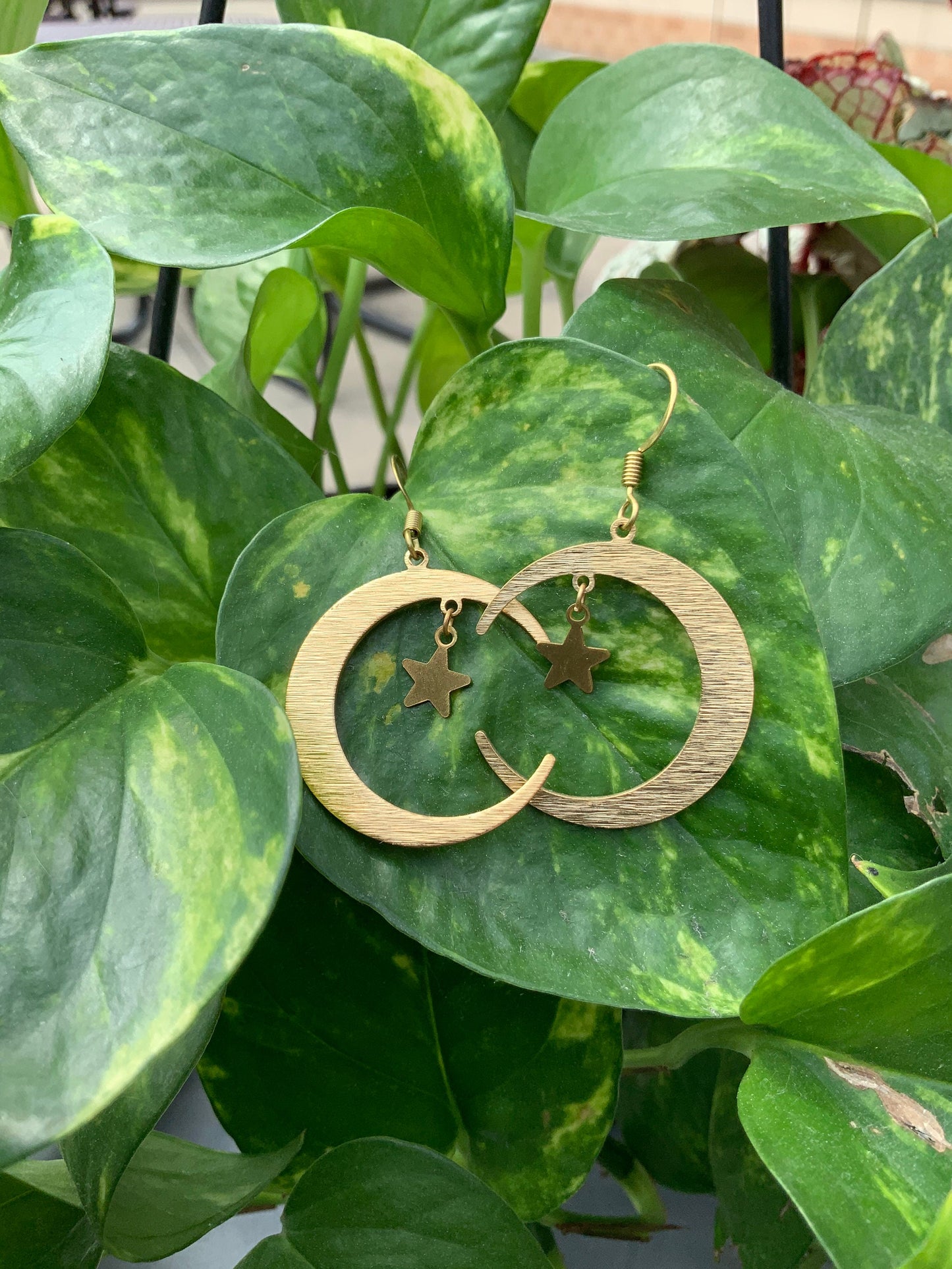 Crescent Moon and Star Earrings