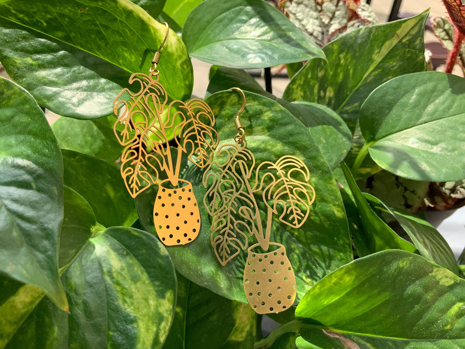 monstera plant earrings Potted Monstera Plant Earrings – Beneath the Moon Shop